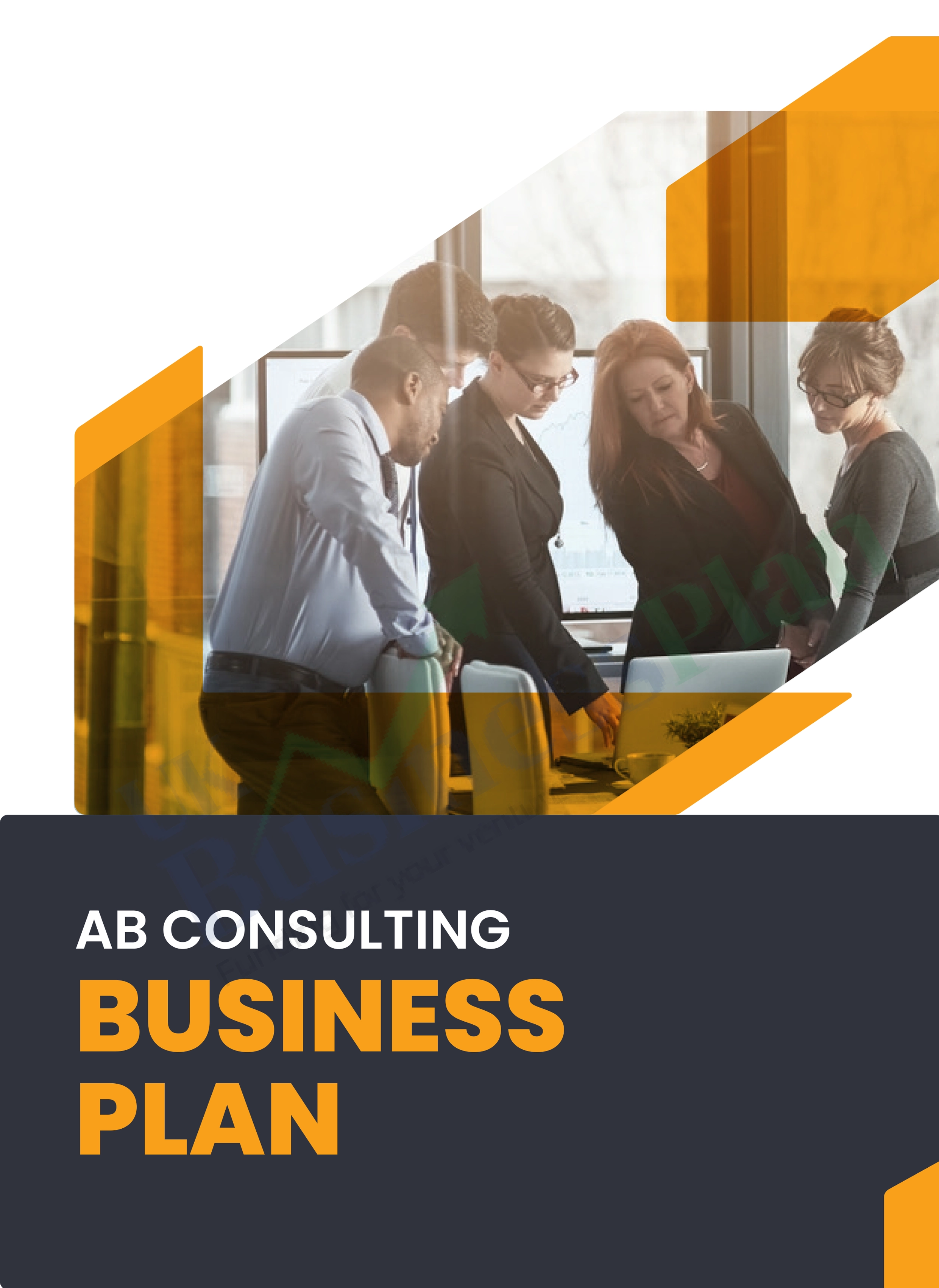 Consulting Business Plan